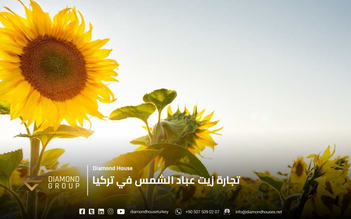 تجارة زيت عباد الشمس في تركيا