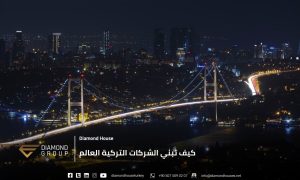 الشركات التركية تبني العالم